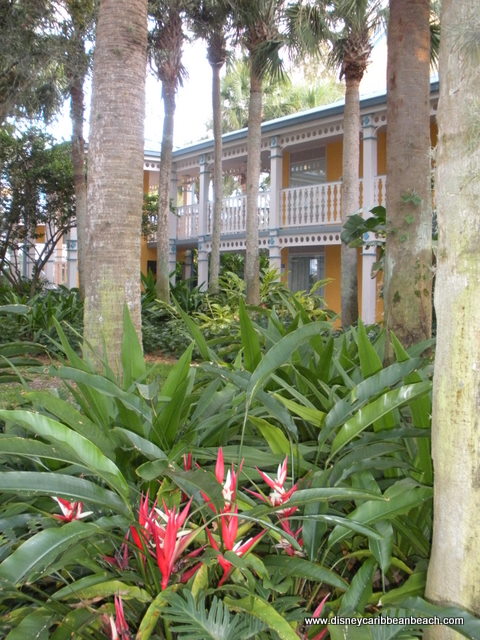 Jamaica Landscaping